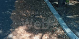 Comitato Cittadino Lidi Nord Ravennati: Segnaliamo la mancanza di pulizia delle strade