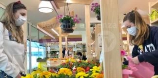 Domani al Mercato Campagna Amica una rosa contadina per tutte le mamme green