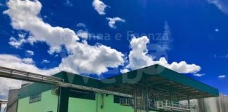 New look per Distillerie Mazzari con un logo che richiama l’economia circolare e l’ambiente