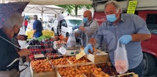 Ercolani, Stefanelli (Lega): “Nuova collocazione del mercato di Punta Marina”