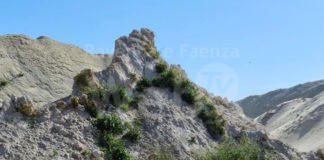 Marendon (LpRa): La ripresa fasulla del porto coi piedi di argilla