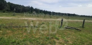 Bertolino (AC): Cosa si aspetta a mettere in sicurezza il parcheggio scambiatore?