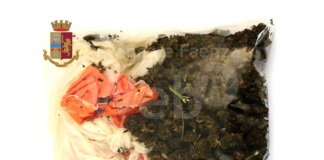 Nell’auto nascondevano la droga: tre giovani denunciati per detenzione di sostanze stupefacenti