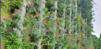 Il Persolino Strocchi sempre più ecosostenibile: inaugurato il primo giardino verticale