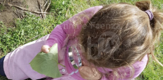 Le scuole del Consorzio Solco Ravenna si preparano per i centri estivi