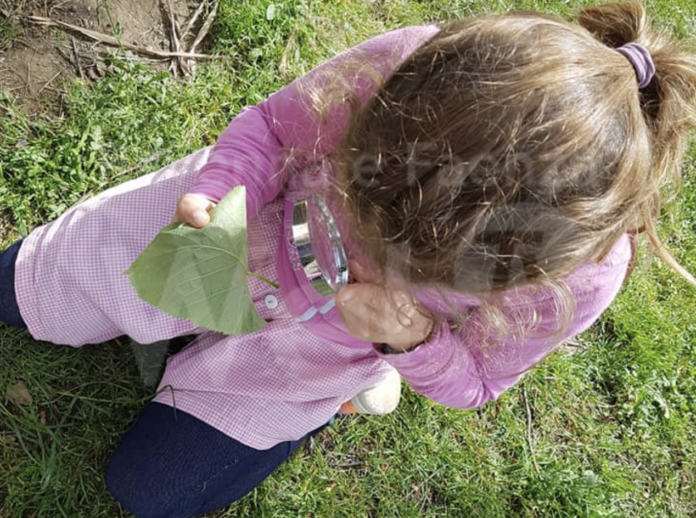 Schermata 2021-05-18 alle 16.08.24