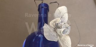 Al Mercato Coperto le “Bottiglie d’Artista” per sensibilizzare sul tema della violenza di genere