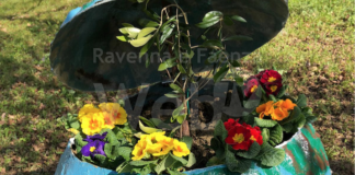 La scuola “A. Baccarini” di Russi vince il concorso per ricordare Falcone e Borsellino