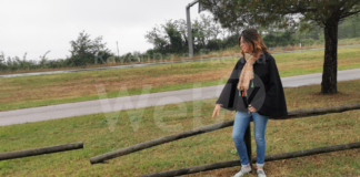 Guerra e Bertolino (AC): Nuovi navetti mare, ci voleva una diligenza per l’inaugurazione