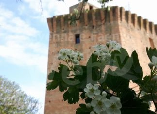 Stefano Saviotti presenta il suo libro “La Torre di Oriolo”