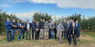 Frutta, più investimenti per proteggere le coltivazioni dalle gelate