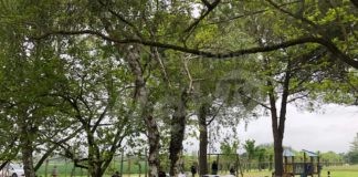 Coldiretti Ravenna: Covid, stop al coprifuoco salva agriturismi