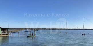 Libera Caccia Ravenna: “Ambiente” la volpe e l’uva