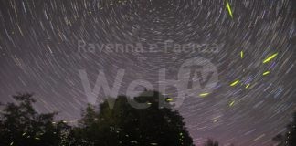 Lucciolata con aperitivo al tramonto a Oriolo dei Fichi