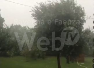 Danni da maltempo: arrivano fondi per privati, aziende e ortofrutta