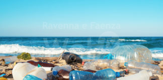 Spiagge e Fondali Puliti 2021: appuntamento il 16 maggio a Porto Corsini e Marina Romea insieme al Fratino