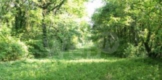 La Pro Loco organizza una visita al Podere Pantaleone di Bagnacavallo