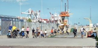 Start Romagna: da domani scatta il servizio estivo sul bacino di Ravenna