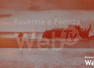 Il 15 giugno parte il cinema alla Molinella con la stagione ideata dal cineclub Il Raggio Verde