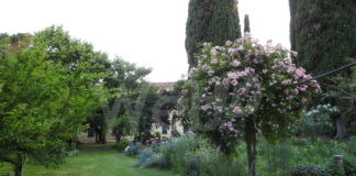 Visita al giardino di Santa Chiara: “Un bene prezioso da conservare nella sua integrità”