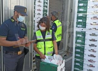 Porto: sequestrato un carico di oltre 17 tonnellate di uva prodotta in Egitto e commercializzata senza le autorizzazioni