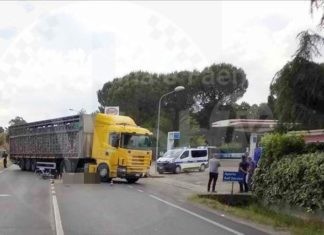 Incidente a Castel Bolognese: ciclista perde la vita