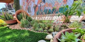 Fusignano: annunciati i vincitori del concorso “L’angolo fiorito”