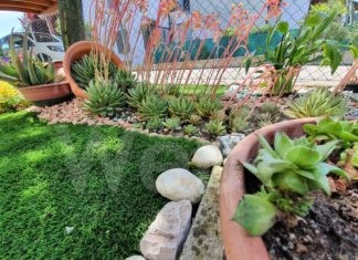 Fusignano: annunciati i vincitori del concorso “L’angolo fiorito”