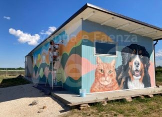 Sabato inaugura il nuovo Rifugio del Cane in via Plicca: open day per la cittadinanza