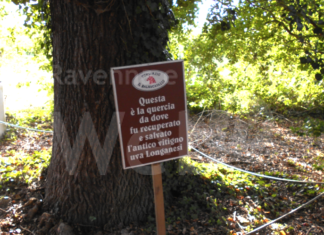 FIAB Ravenna: degustazione serale alla cantina Longanesi