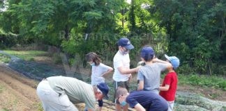 Open Ort: visita guidata all’orto di Terra Condivisa realizzato da Farsi Prossimo