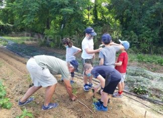 Open Ort: visita guidata all’orto di Terra Condivisa realizzato da Farsi Prossimo