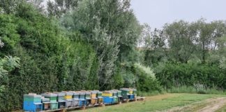 CAB: 30 apicoltori in campo