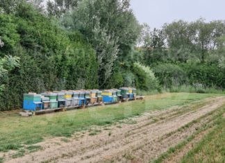 CAB: 30 apicoltori in campo