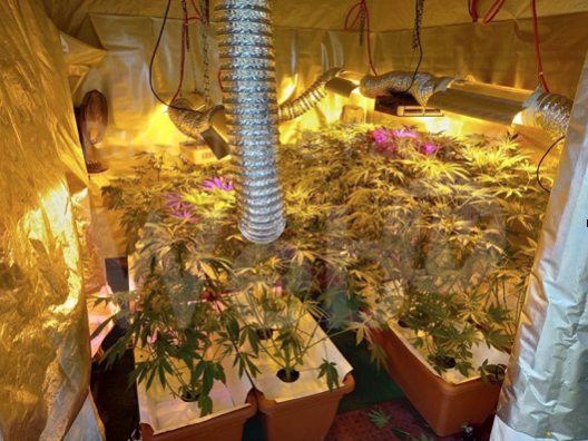 Schermata 2021-06-08 alle 18.30.11