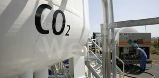 Verdi/Europa Verde Ravenna: Il CCS esce dalla porta e rientra dalla finestra!