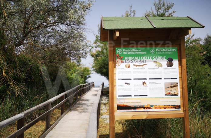 Schermata 2021-06-23 alle 17.06.37