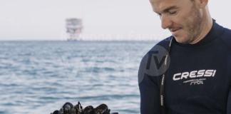 Dal mare alla tavola: la cozza protagonista dell’ultimo appuntamento di Wilma