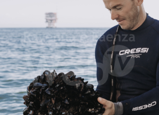 Dal mare alla tavola: la cozza protagonista dell’ultimo appuntamento di Wilma