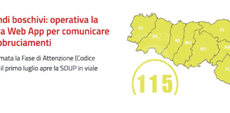 Incendi boschivi. Online su smartphone e pc la nuova per cittadini che intendano bruciare residui vegetali all’aperto