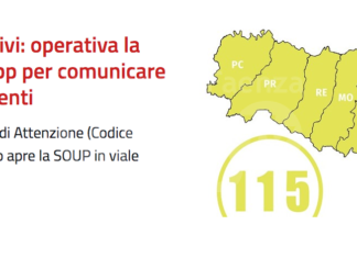 Incendi boschivi. Online su smartphone e pc la nuova per cittadini che intendano bruciare residui vegetali all’aperto