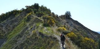 La Via dei Gessi e dei Calanchi: tante escursioni per camminatori