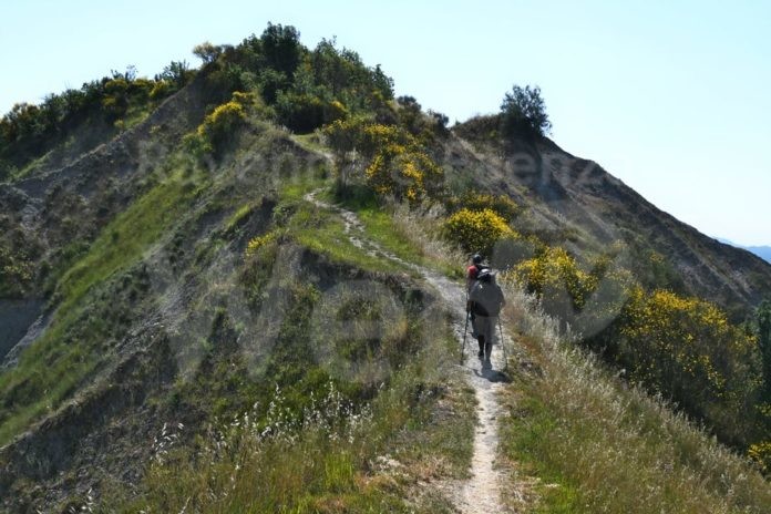 Tappa7_Camminatori in salita fra i calanchi_Sara Zanni