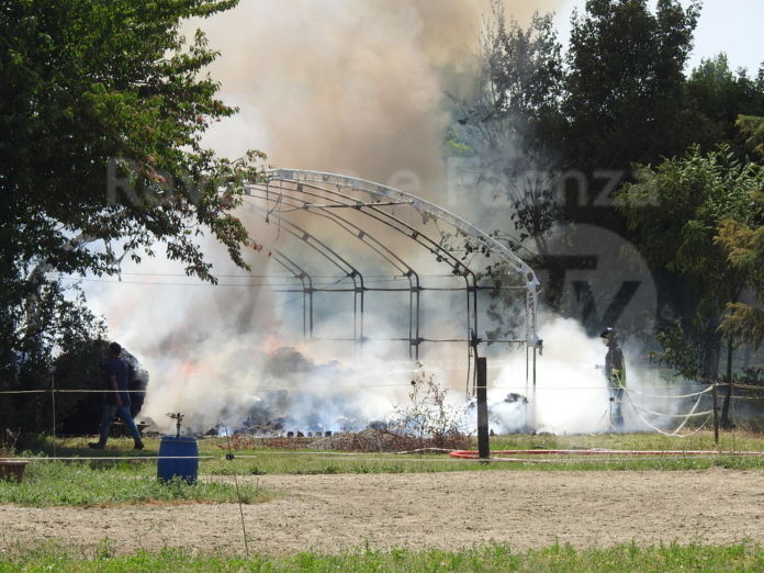 WhatsApp Image 2021-06-24 at 16.10.11