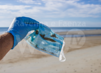 Coronavirus: 5 guarigioni, nessun decesso, 3 nuovi positivi