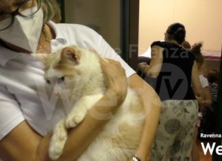 Giornata delle coccole all’infermeria felina di Bizzuno: in tantissimi a conoscere il lavoro dei volontari Enpa