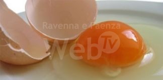 Unione: rischio salmonella con le alte temperature, vietata la somministrazione di uova crude e insaccati freschi