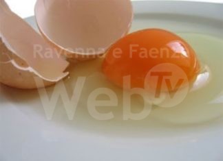 Unione: rischio salmonella con le alte temperature, vietata la somministrazione di uova crude e insaccati freschi