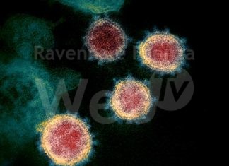 Coronavirus: 5 casi segnalati, tutti in isolamento domiciliare