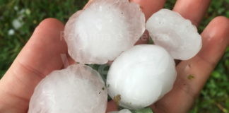 Maltempo, Coldiretti: “Grandinate triplicate nell’estate 2021, gravi danni sulle coltivazioni”